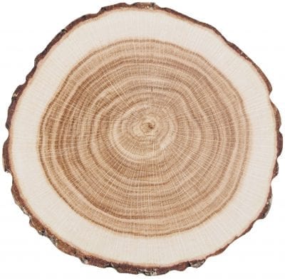 Set of 10 Tree Trunk Coasters, Paper