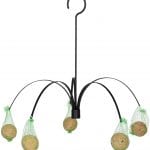Hanging Palm Feeder, Black