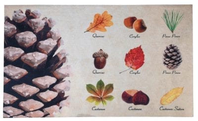 Leaf Species Doormat