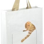 Kitten Peek-a-Boo Shopping Bag, 2 Asst. Styles - Image 2