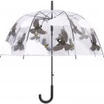 Transparent Bird Umbrella