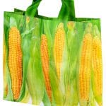 Vegetable Shopping Bag, 4 Asst. Styles - Image 2