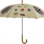 Leaf Species Umbrella