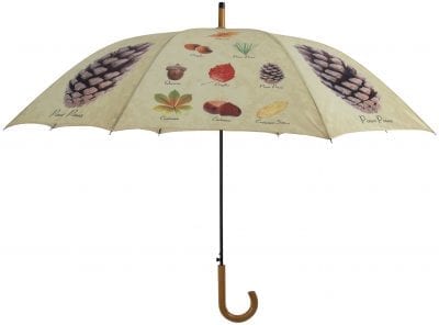 Leaf Species Umbrella