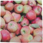 Pack of 20 Apple Napkins - Image 2