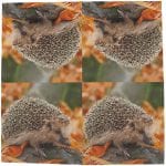 Pack of 20 Hedgehog Napkins - Image 2
