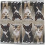 Pack of 20 Cat Napkins - Image 2