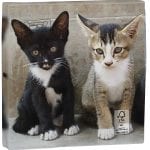 Pack of 20 Cat Napkins