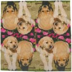 Pack of 20 Dog Napkins - Image 2