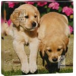 Pack of 20 Dog Napkins