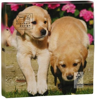 Pack of 20 Dog Napkins