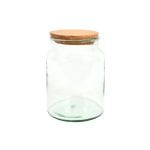 Wide Mouth Terrarium Bottle - Small