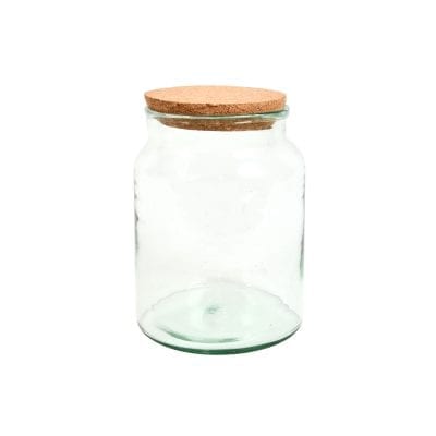 Wide Mouth Terrarium Bottle - Small