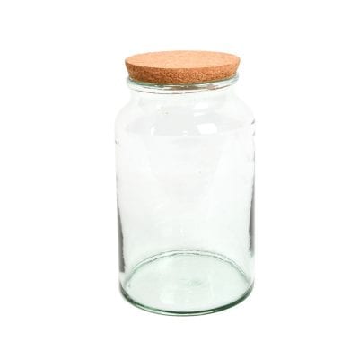 Wide Mouth Terrarium Bottle - Medium