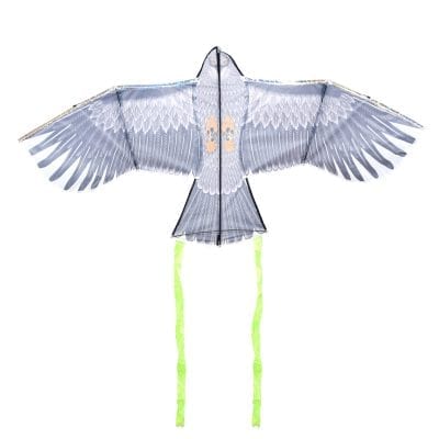 Hawk Scarer Kite