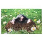 Mole Doormat