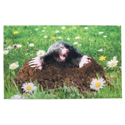 Mole Doormat