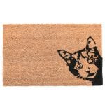 Cat Coir Doormat