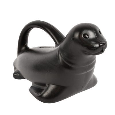Sea Lion Watering Can