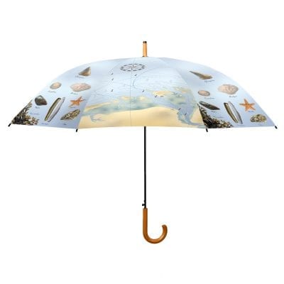 Bird Species Umbrella