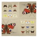 Pack of 20 Butterfly Species Napkins