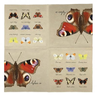 Pack of 20 Butterfly Species Napkins