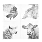 Farm Animal Napkin, Black/White - Large