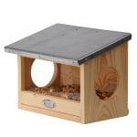 Squirrel Observation/Feeder