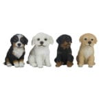 Puppy, Resin, 4 Asst. Styles