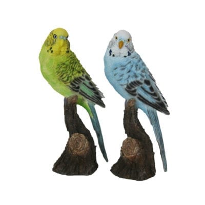 Parakeet, Resin, 2 Asst. Styles