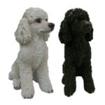 Sitting Poodle, Resin, 2 Asst. Styles