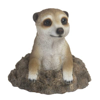 Emerging Meerkat, Resin