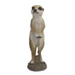 Meerkat 1, Resin
