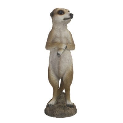 Meerkat 2, Resin