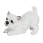 West Highland Terrier, Resin