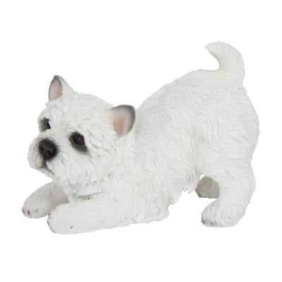 West Highland Terrier, Resin