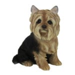Yorkshire Terrier, Resin