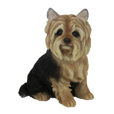 Yorkshire Terrier, Resin