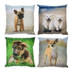 Outdoor Cushion Dog, 4 Asst. Styles - Small