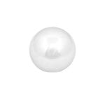 Gazing Globe, Stainless Steel - Medium