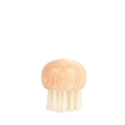 Mushroom Brush, Wood