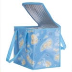 Beach Cooling Bag