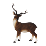 Red Deer, Resin - Medium
