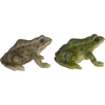 Frog, Resin, 2 Asst. Styles