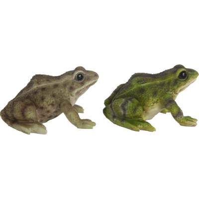 Frog, Resin, 2 Asst. Styles