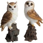 Owl on Driftwood, Resin, 2 Asst. Styles