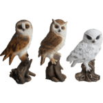 Owl on Driftwood, Resin, 3 Asst. Styles