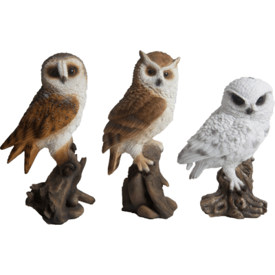 Owl on Driftwood, Resin, 3 Asst. Styles