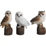 Owl on Truck, Resin, 3 Asst. Styles