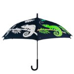 Chameleon Color Change Umbrella